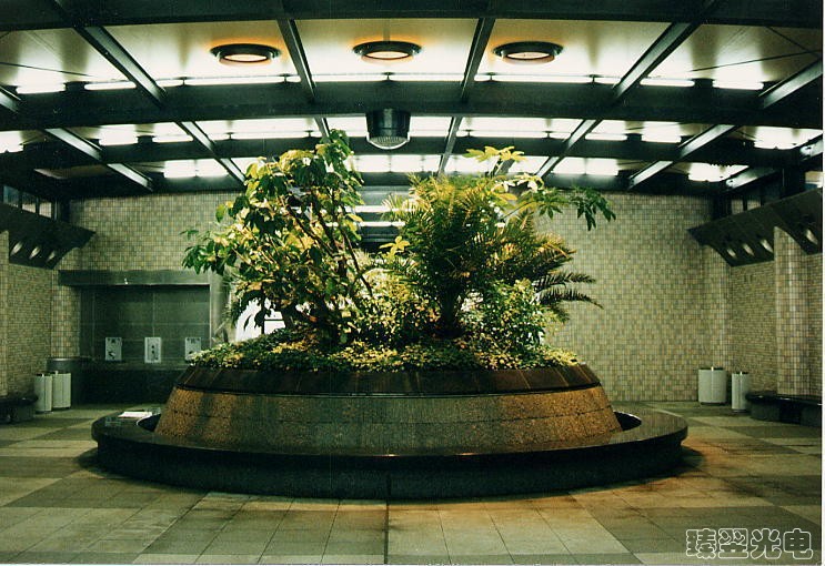 光導(dǎo)照明，光纖照明，室內(nèi)植物照射